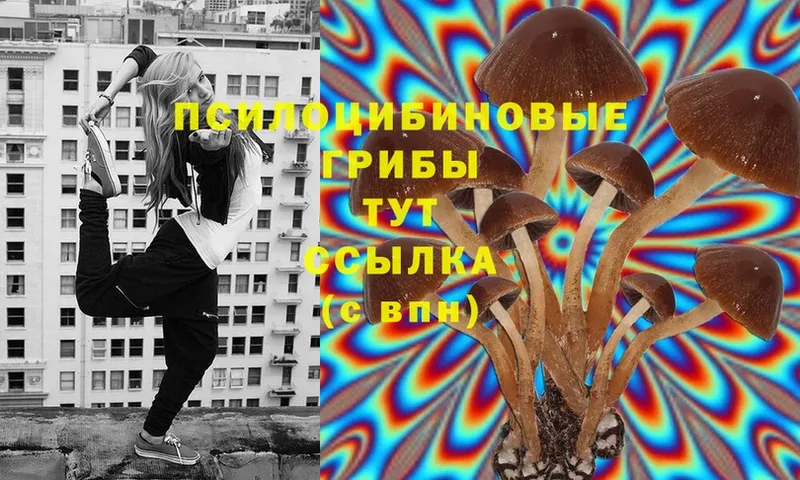 Псилоцибиновые грибы MAGIC MUSHROOMS  Венёв 